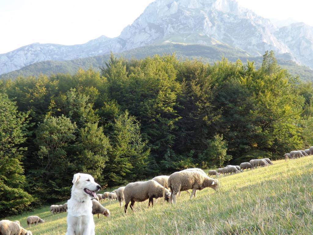 Agriturismo Lu Formaggio Hotel Castelli Kültér fotó