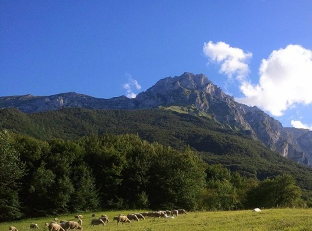 Agriturismo Lu Formaggio Hotel Castelli Kültér fotó
